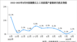 2023年1-8月中國能源生產情況：電力生產保持平穩（圖）