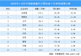 2023年1-8月中国新能源汽车销量前十企业集团排行榜（附榜单）