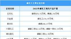 2023年磷化工主要产品及企业布局情况预测分析（图）