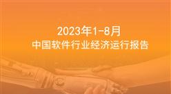 2023年8月中国软件行业经济运行报告（附全文）