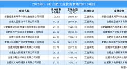2023年1-9月合肥工业土地投资规模最大的十个项目汇总（图）