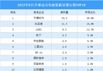 2023年8月全球动力电池装机量排行榜TOP10