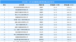 【招商引资成绩分享】2023年1-9月宜昌制造业土地投资TOP50企业盘点