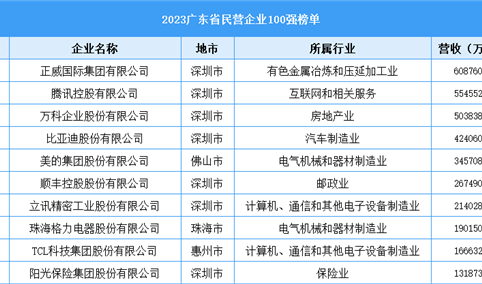 2023广东省民营企业100强（附榜单）