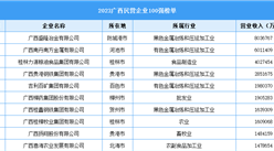 2023廣西民營(yíng)企業(yè)100強(qiáng)（附榜單）