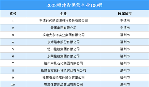 2023福建省民营企业100强（附完整榜单）