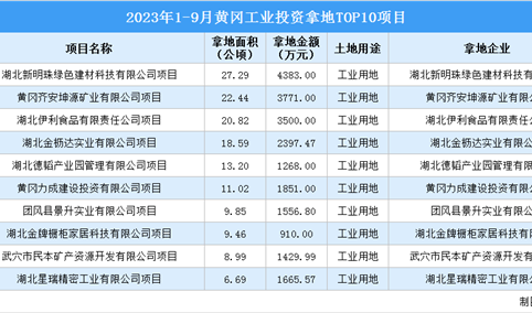 抓项目扩投资 2023年1-9月黄冈工业投资TOP10项目土地投资超148公顷