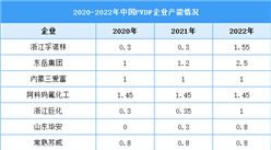 2023年中國PVDF產(chǎn)能及企業(yè)布局情況預(yù)測分析（圖）