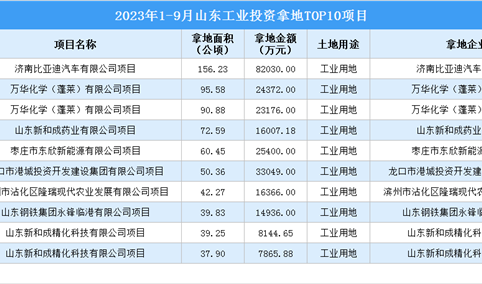2023年1-9月山东工业土地投资规模最大的十个项目汇总（图）