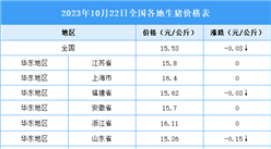 2023年10月23日全國各地最新生豬價(jià)格行情走勢分析