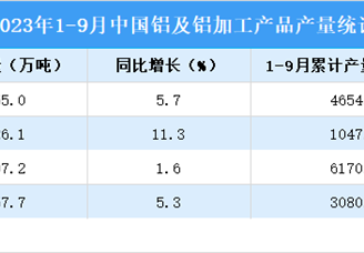 2023年9月中国铝加工产业运行情况：主要产品产量同比增长