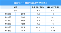 2023年10月25日全国各地最新生猪价格行情走势分析