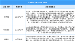 2024年中國鋰電池負極材料出貨量及企業布局情況預測分析（圖）