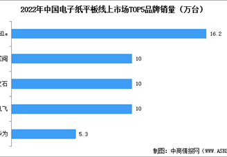 2022年中國電子紙平板銷量情況及品牌銷量排名統(tǒng)計分析（圖）