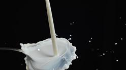 2023年1-9月中國奶粉進口數據統計分析：進口量83萬噸