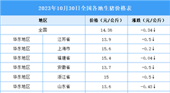 2023年10月31日全国各地最新生猪价格行情走势分析