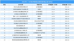 【招商引資成績分享】2023年1-9月滄州制造業土地投資TOP50企業盤點