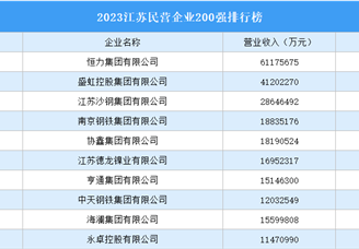 2023江苏民营企业200强排行榜（附完整榜单）