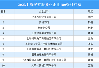 2023上海民营服务业企业100强排行榜（附榜单）