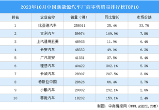 2023年10月中国新能源汽车厂商零售销量排行榜TOP10（附榜单）