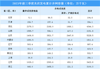 2023年前三季度中國光伏發(fā)電累計并網(wǎng)容量52039.4萬千瓦（圖）