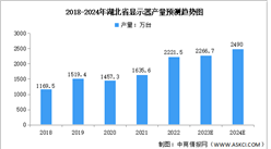 2024年湖北省新型显示产业现状及未来发展方向预测分析（图）