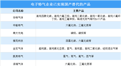 2024年中国电子特气市场规模及重点企业预测分析（图）