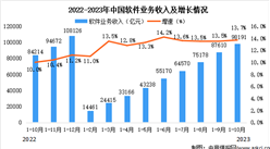 2023年10月中国软件业总体运行情况分析：累计软件业务收入98191亿元（图）