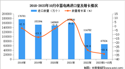 2023年1-10月中国蓄电池进口数据统计分析：进口量67024万个