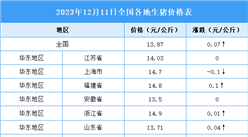 2023年12月12日全国各地最新生猪价格行情走势分析