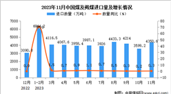 2023年11月中國煤及褐煤進口數據統計分析：進口額與去年同期持平