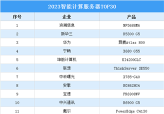 2023智能计算服务器TOP30排行榜（附榜单）