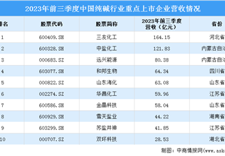 2024年中国纯碱行业市场现状及重点企业预测分析（图）