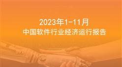 2023年11月中国软件行业经济运行报告（附全文）