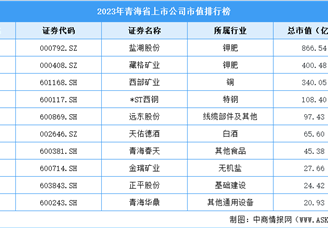 2023年青海省上市公司市值排行榜（附榜单）