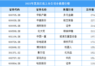2023年黑龙江省上市公司市值排行榜（附榜单）