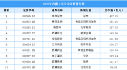 2023年西藏上市公司市值排行榜（附榜单）