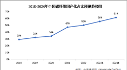 2024年中國碳纖維市場規模及國產化率預測分析（圖）
