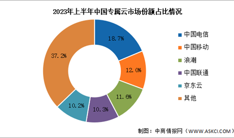 2023年上半年中国专属云服务市场规模及竞争格局分析（图）