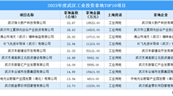 2023年度武汉工业土地投资规模最大的十个项目汇总（图）