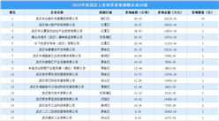 投资情报 · 武汉篇 | 2023年度武汉这50家企业工业土地投资规模最大