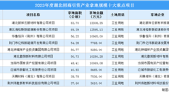 【项目投资动态】2023年度湖北招商引资产业拿地规模十大重点项目盘点