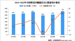 2023年中國鮮或冷藏蔬菜出口數據統計分析：出口量同比增長16.7%