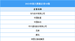 2023中国大数据企业50强（附名单）