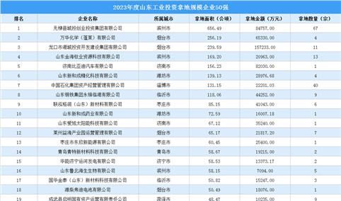 【投资跟踪】 2023年度山东省50强企业土地投资总额超百亿（图）
