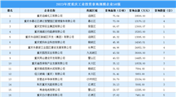投資情報速遞 | 2023年度重慶工業土地投資50強企業摘走90宗地