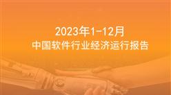 2023年12月中国软件行业经济运行报告（附全文）