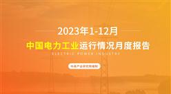 2023年1-12月中國電力工業運行情況月度報告（附完整版）