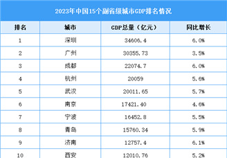 2023年中国15个副省级城市GDP排名情况（附榜单）