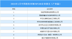 产业投资情报：2024年1月中国投资拿地TOP100企业排行榜（产业篇）